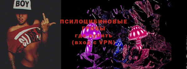 мяу мяу мука Арсеньев