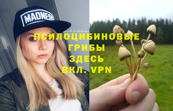 мяу мяу мука Арсеньев